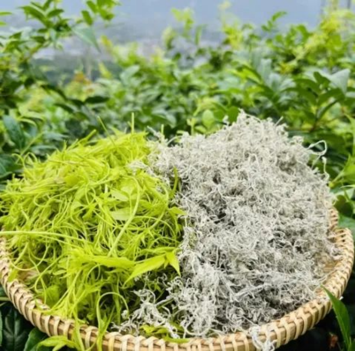 The amazing tea tree revealed